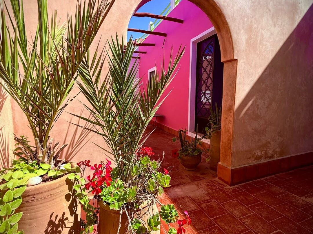 Le Chant du Chameau主图