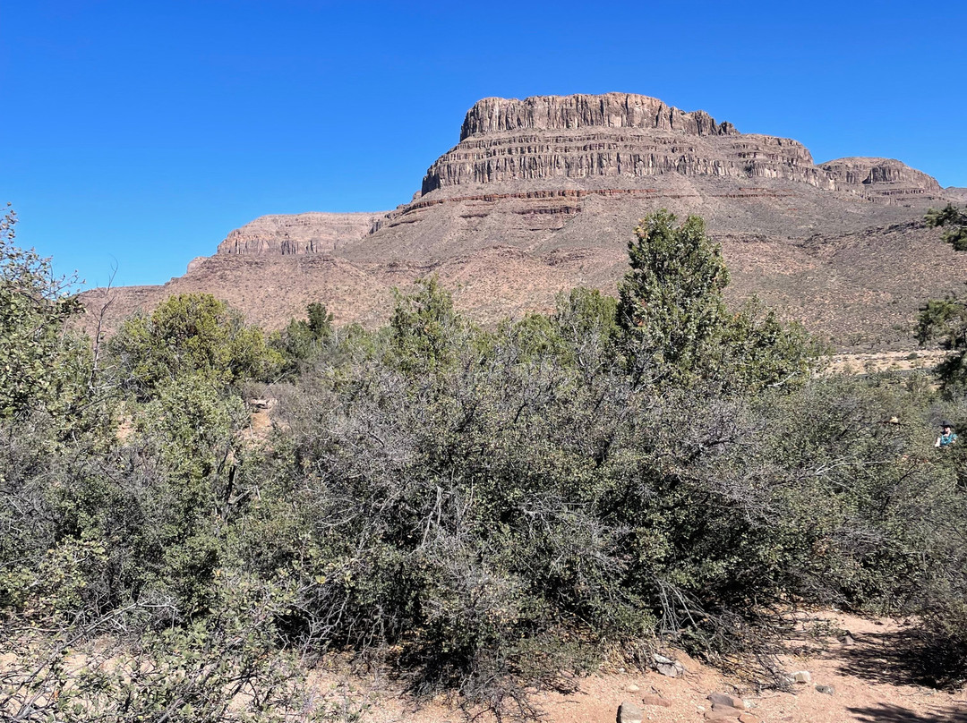 Grand Canyon Western Ranch-Meadview必去景点