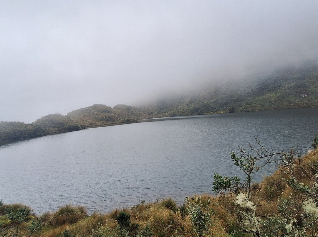 Parque Nacional Cayambe - Coca景点图片