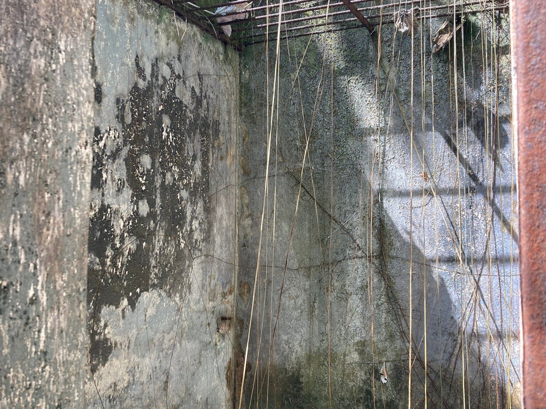 Les Iles du Salut-Kourou必去景点