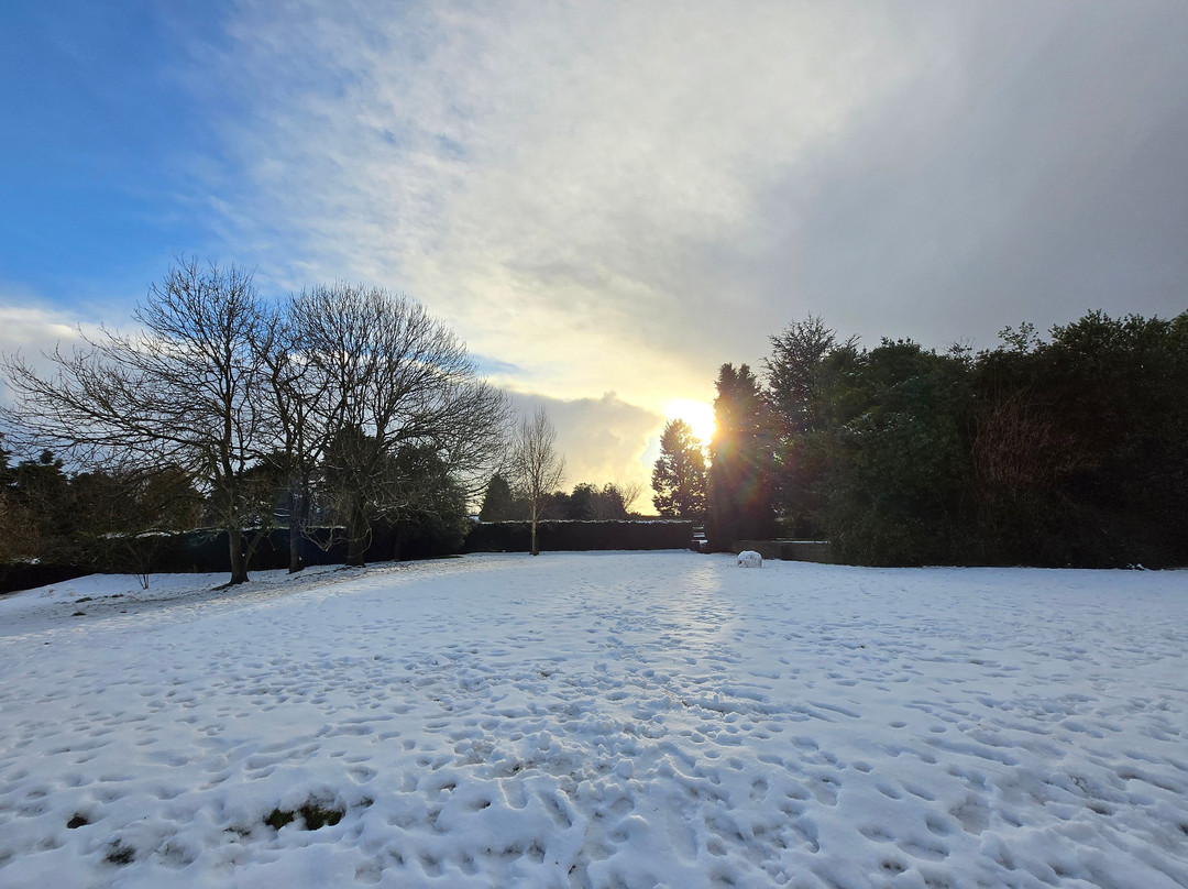 Reynolds Park-利物浦必去景点