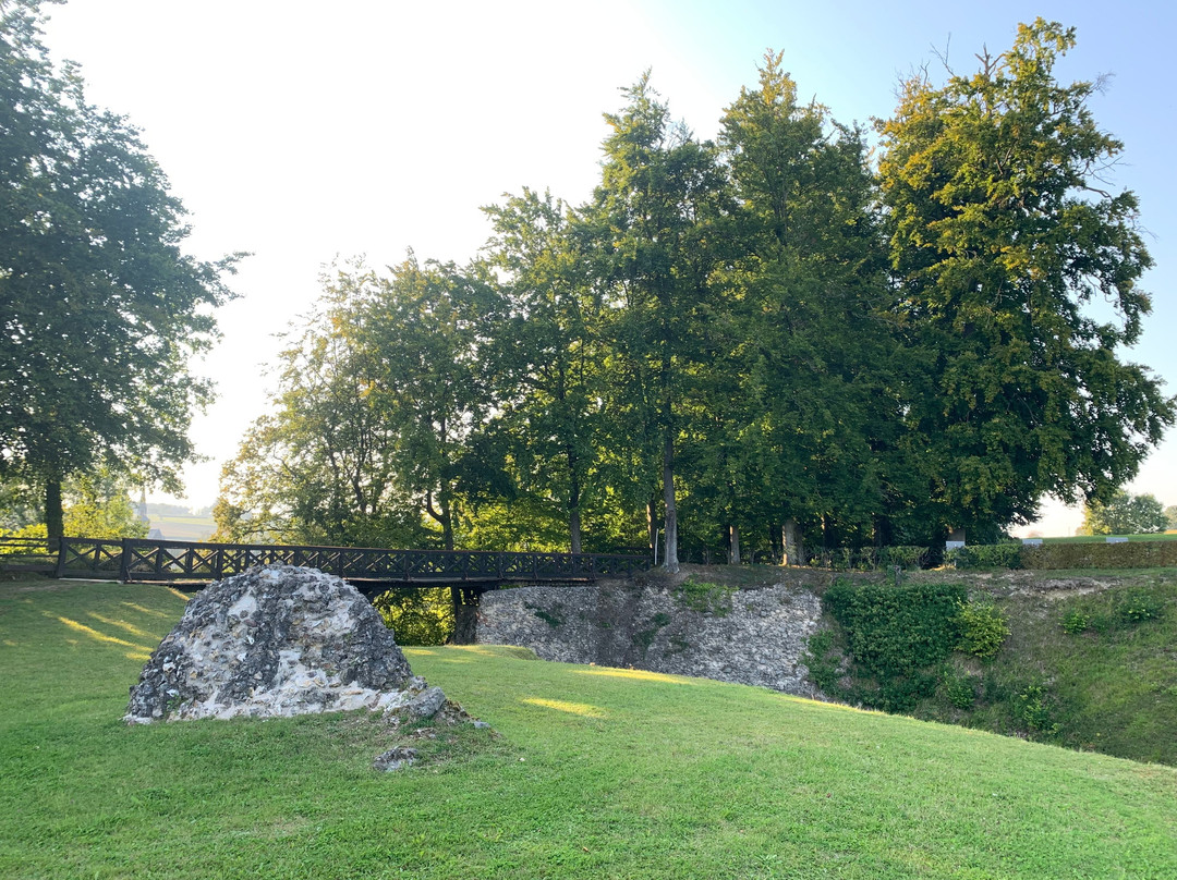 Château de Blainville-Crevon景点图片