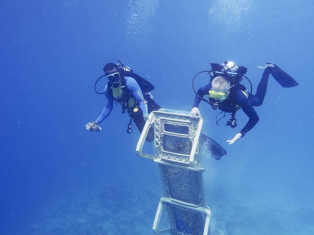 Blue Water Divers-Cockburn Town必去景点