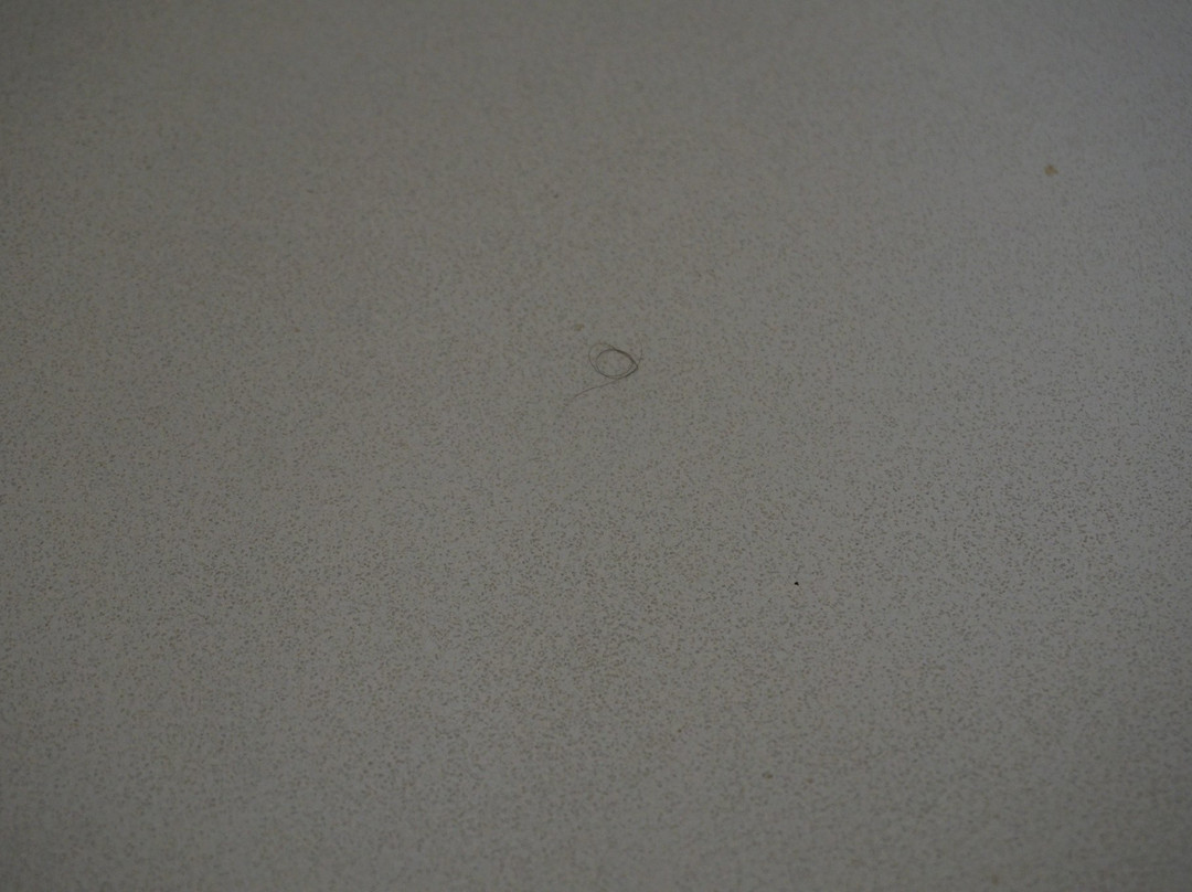 Holiday Inn Express Charleston-civic Center By IHG主图