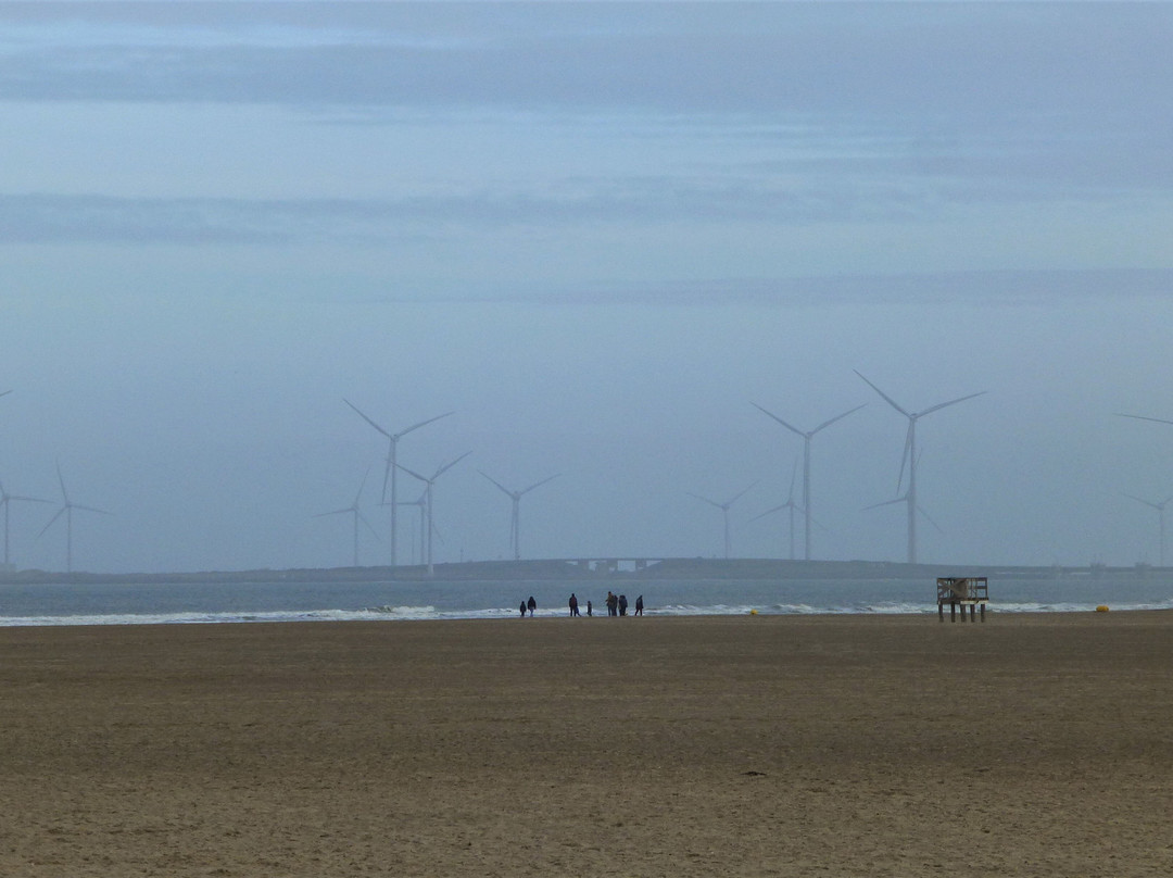 Hotel Café Restaurant de Boekanier主图