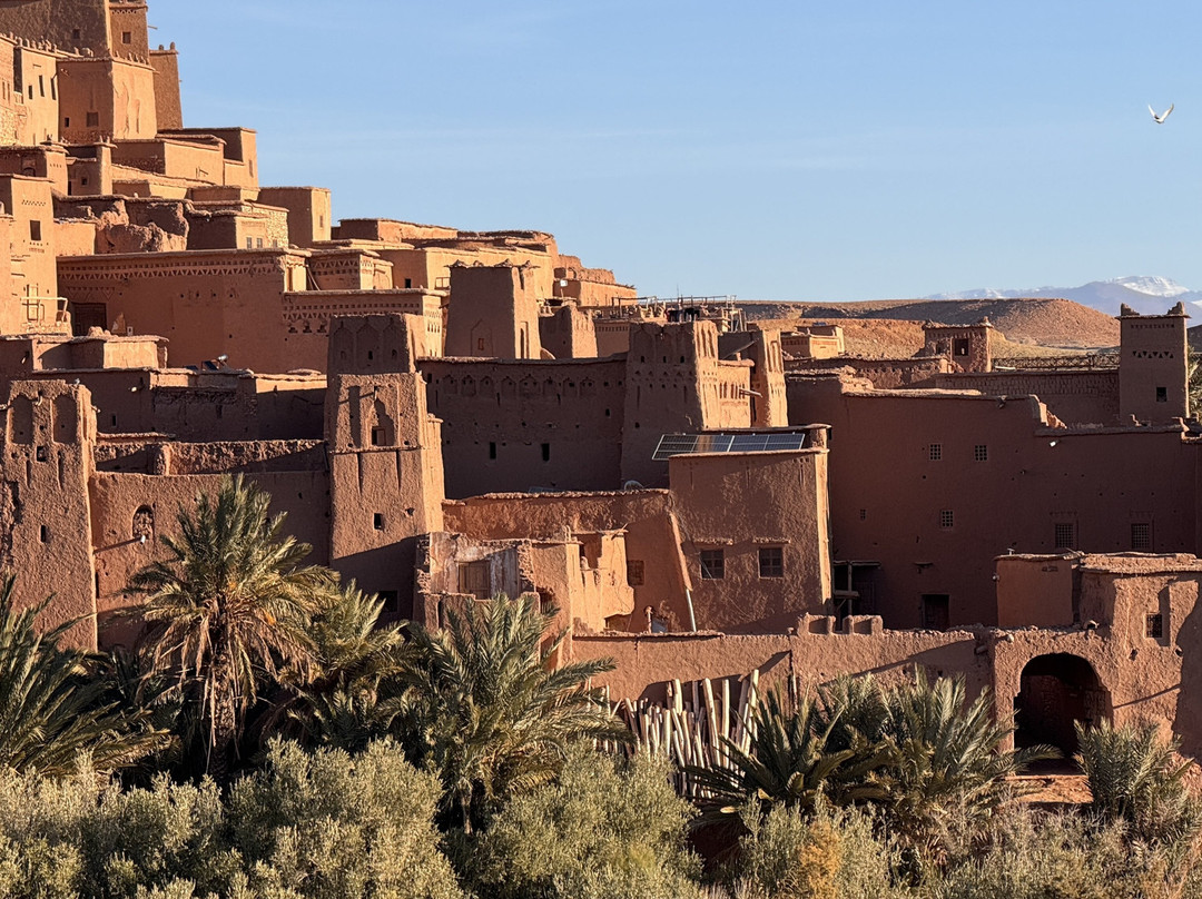 Berber Walk-马拉喀什必去景点