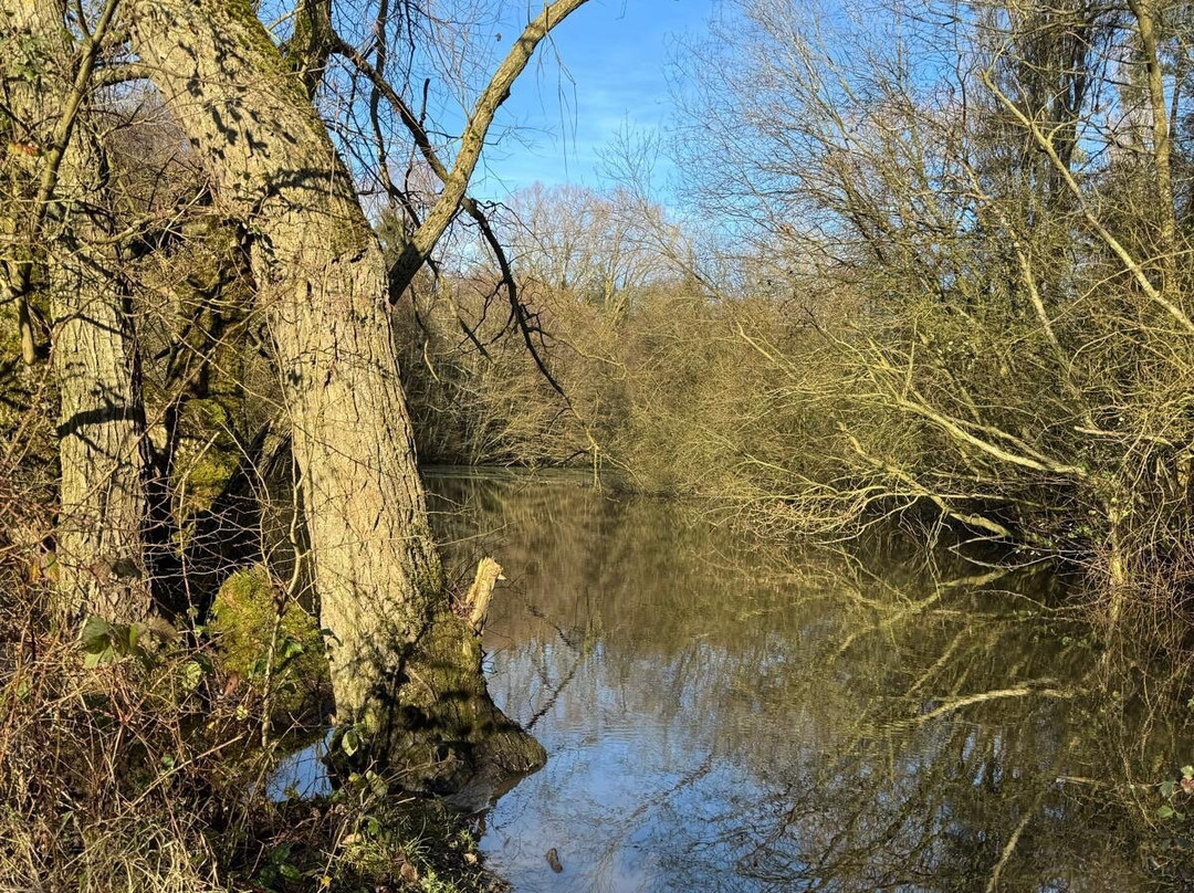 Ufton Fields Nature Reserve景点图片