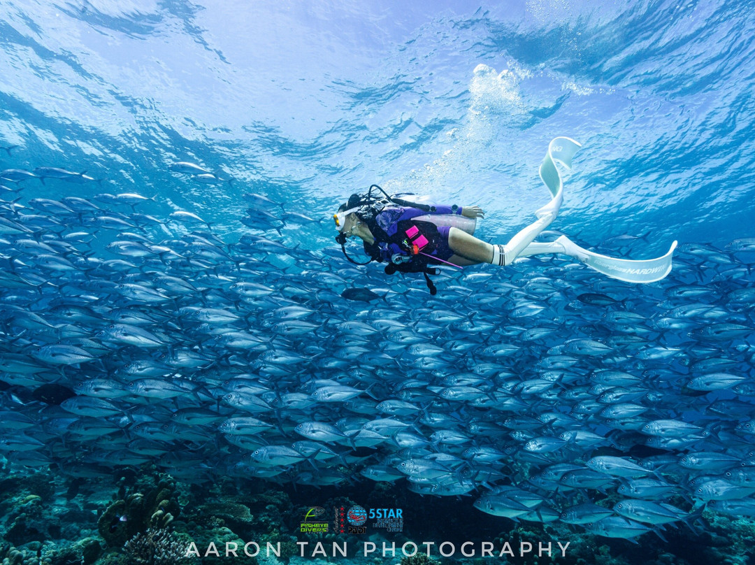 Fisheye Divers-长滩岛必去景点
