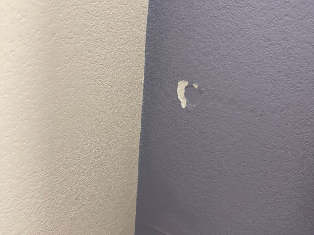 Microtel Inn & Suites by Wyndham Baton Rouge Airport主图