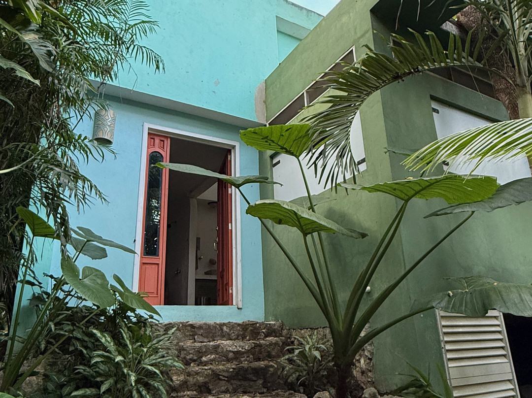 Genesis Eco Oasis主图