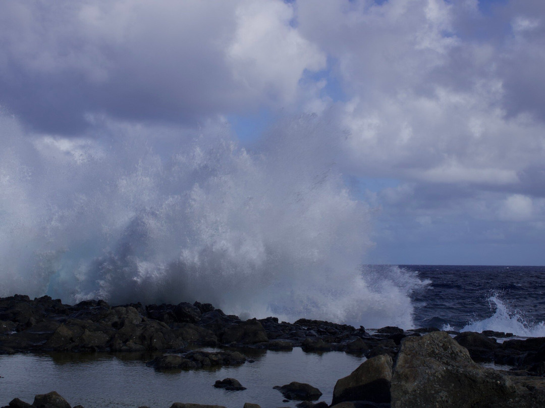 Makapu’u Point Tide Pools-威玛纳诺必去景点