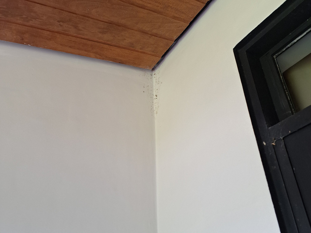 Quedas Park Hotel主图