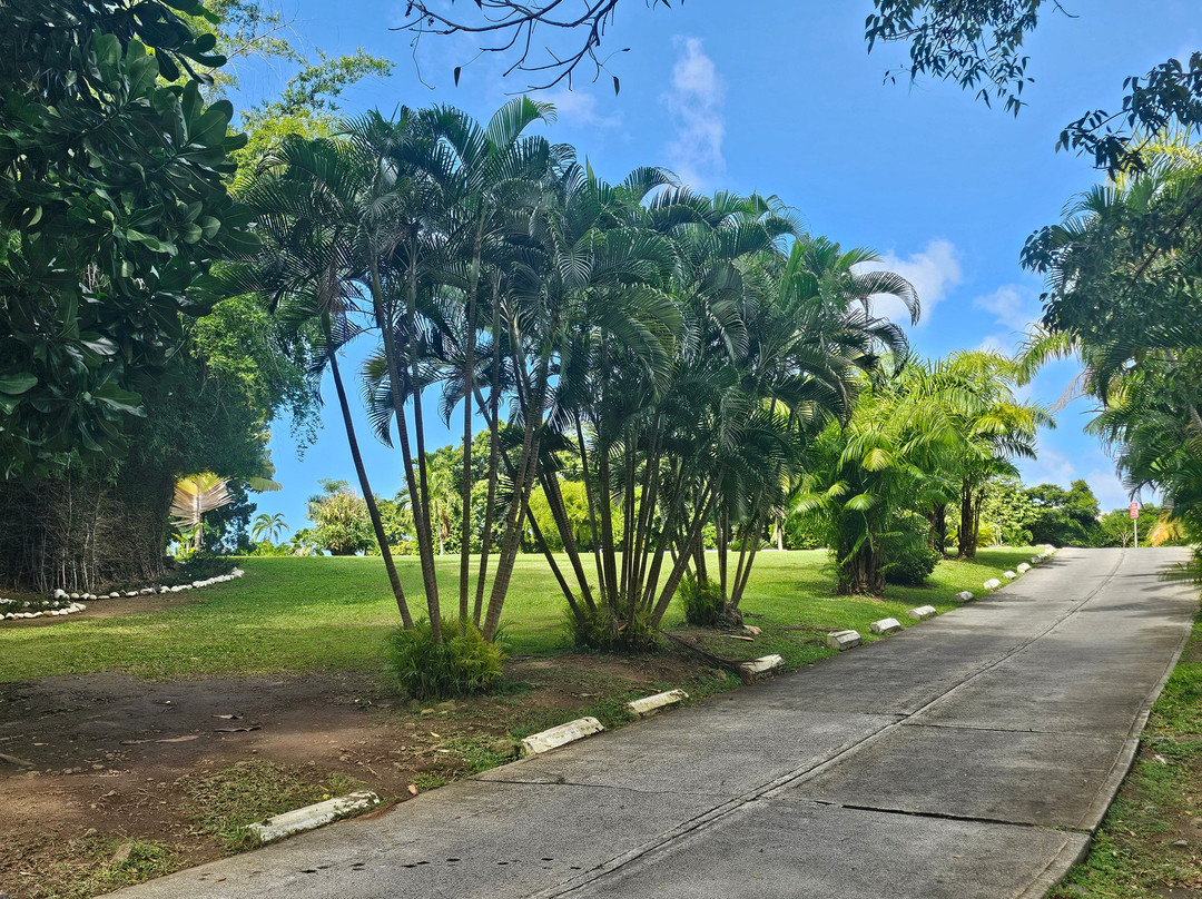 Dominica Botanic Gardens-罗索必去景点