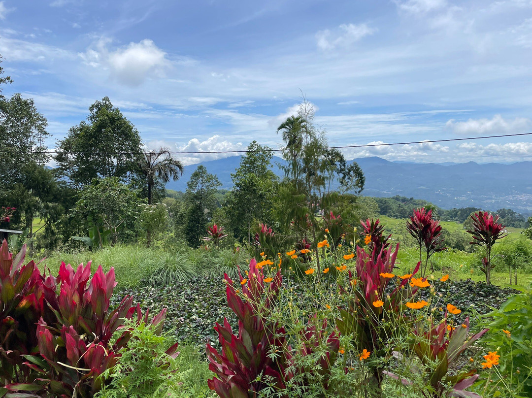 Ikhsan Makassar Driver-孟加锡必去景点