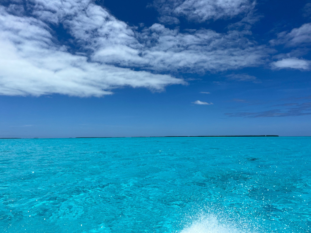 Cocos Dive Day Trips-科科斯（基林）群岛必去景点