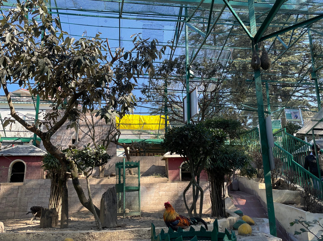 Dhanvi Tourizm景点图片