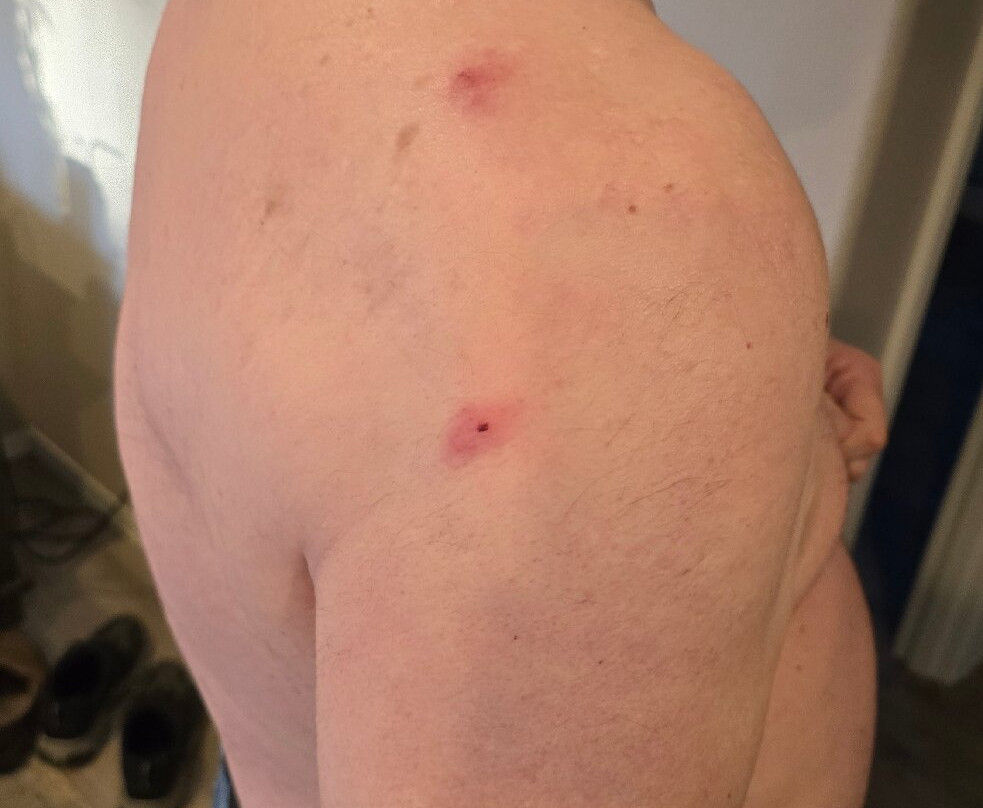 Woodsman Country Lodge主图