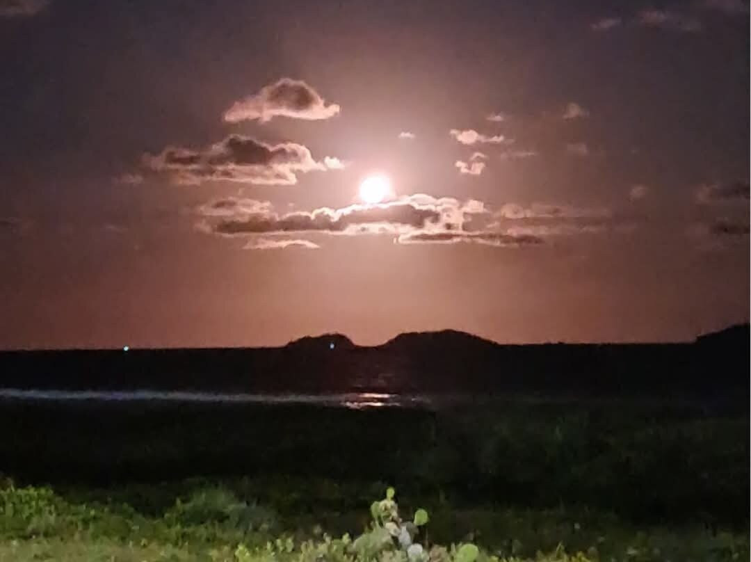 Ervino Beach-Sao Francisco do Sul必去景点