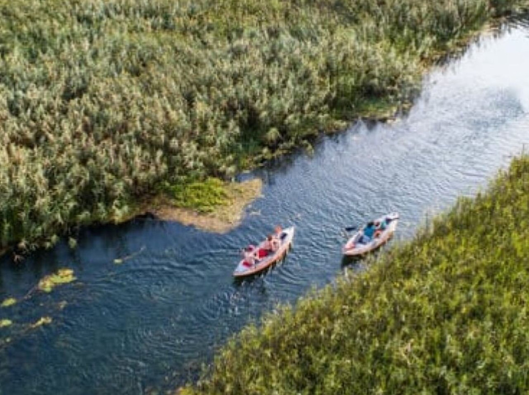 Narona Kayaking - Safari Kayaking Tour on Norin River景点图片