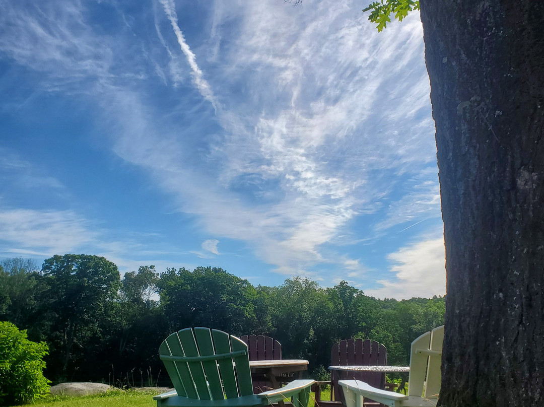 Taylor Brooke Winery-Woodstock必去景点