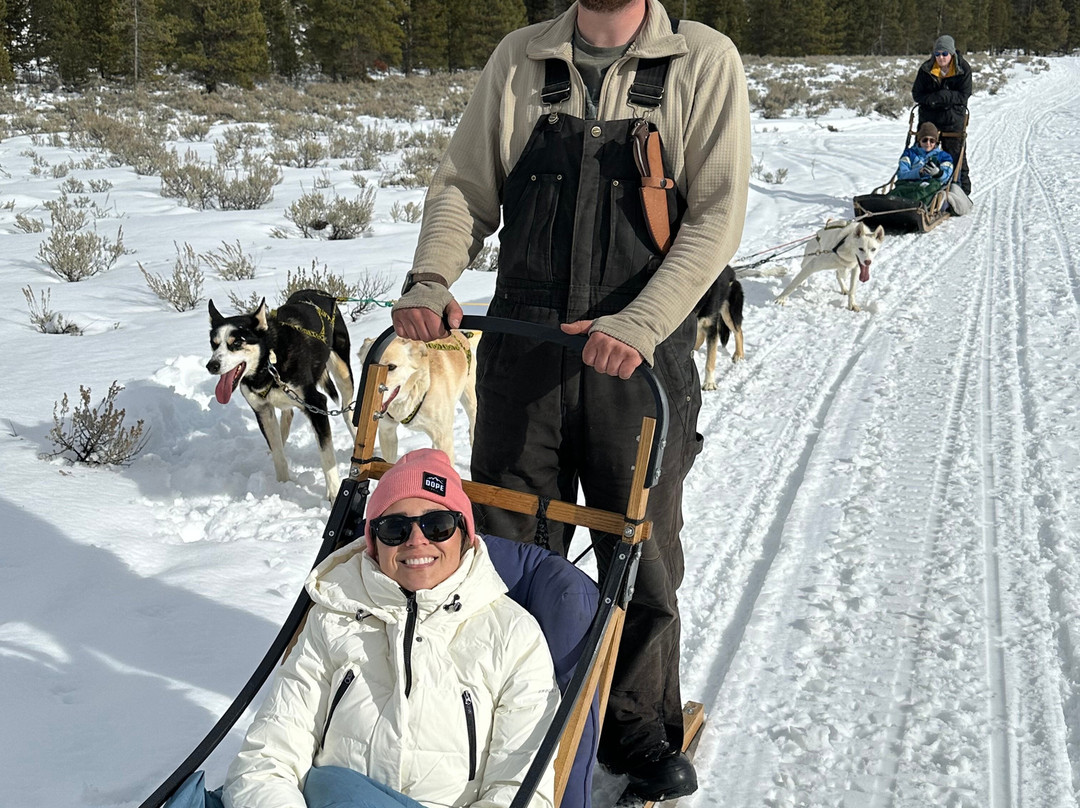 Yellowstone Dog Sled Adventures-西黄石镇必去景点