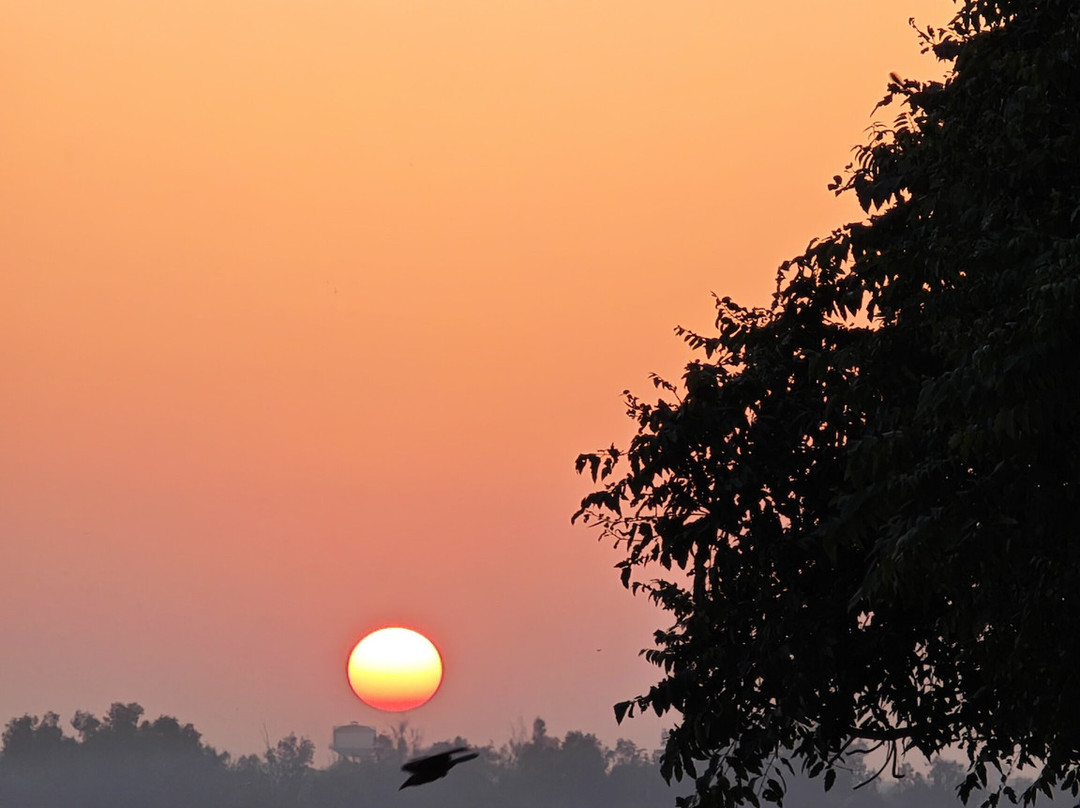 Lemon Tree Hotel Agra主图