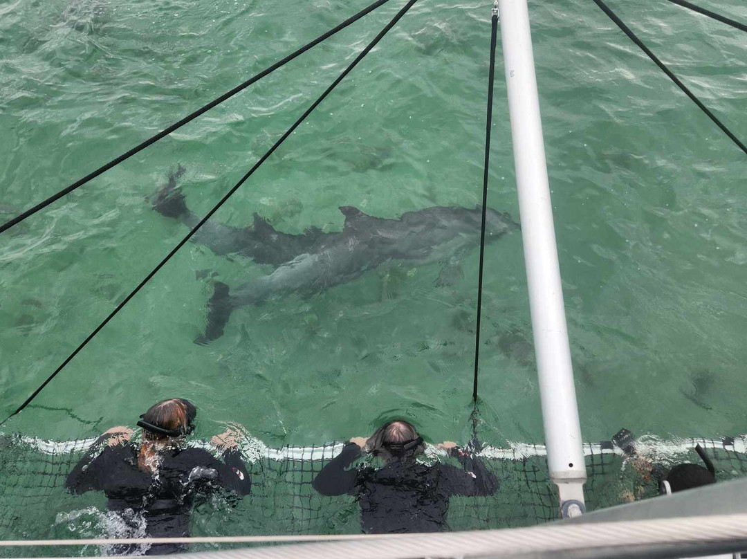 Sunset Charters-哥芬湾必去景点