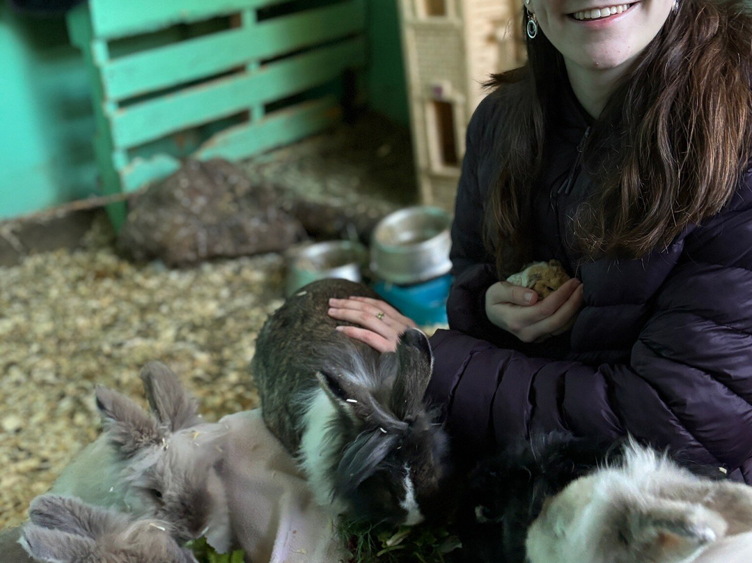 Farm Ventures-Roberts Creek必去景点