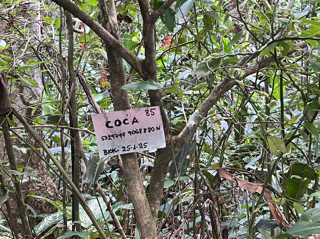 Jardin Botanico Bio-Kuka-Pucallpa必去景点