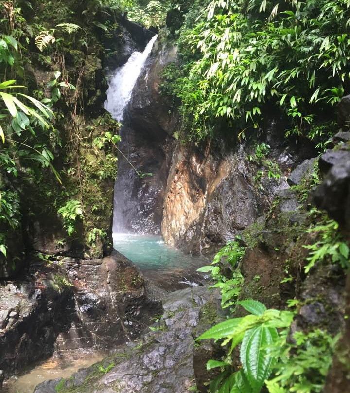 Refugio Mr Jerry Ecohouse主图