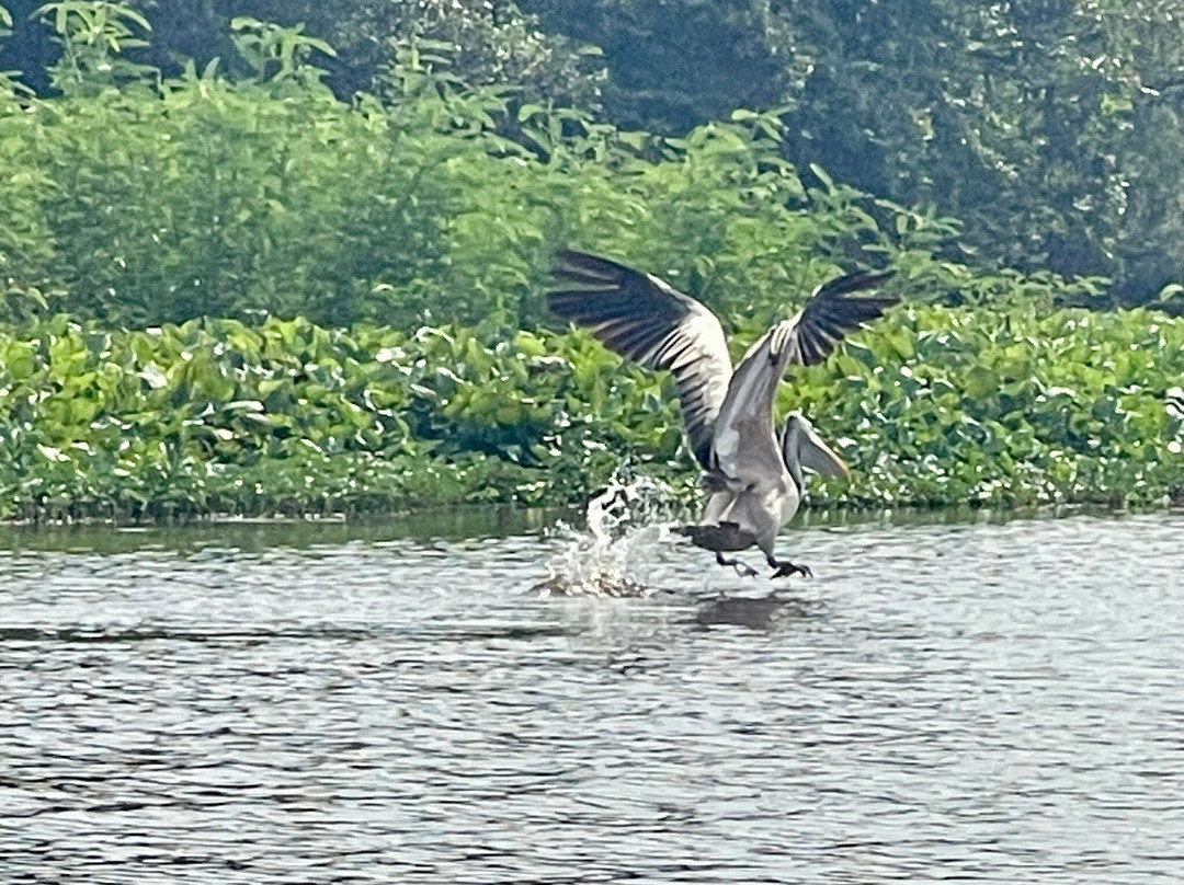 Taxi Angkor-暹粒必去景点