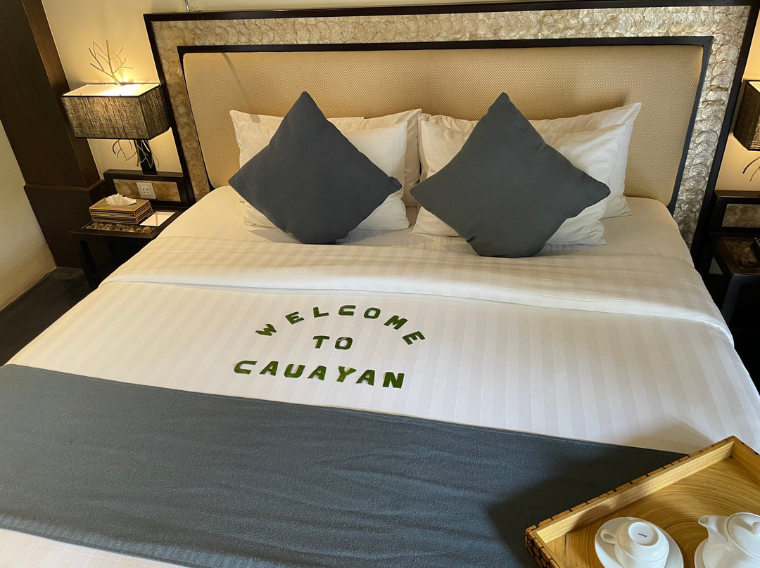 Cauayan Island Resort主图