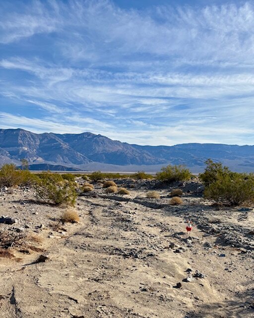 Panamint Springs Resort-浴室