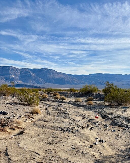 Panamint Springs Resort主图