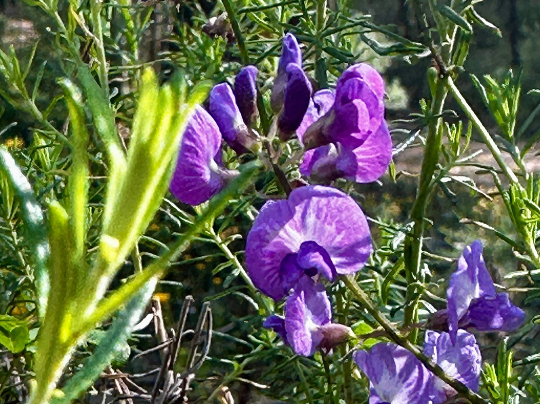 Canyonleigh Retreat主图