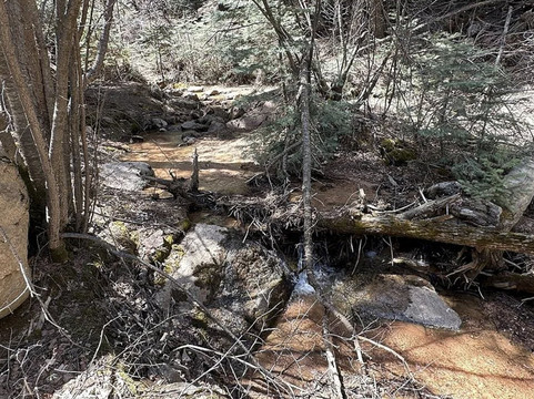 Yakalo Ranch-科罗拉多斯普林斯必去景点