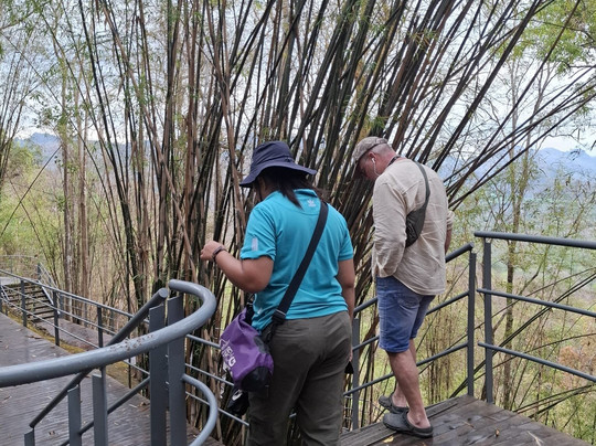 Paddle and More Travel-北碧必去景点