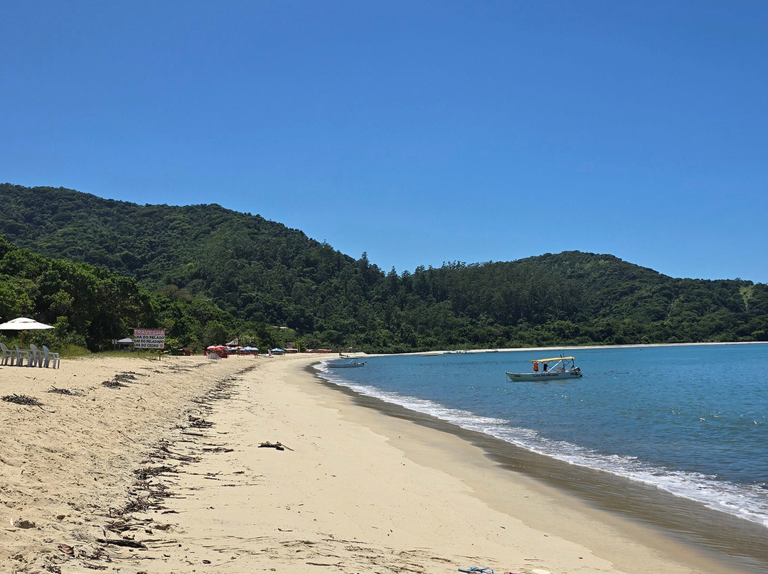 Praia de São Gonçalo景点图片