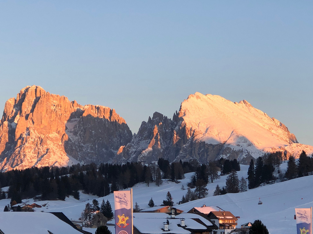 Pensione Anemone主图