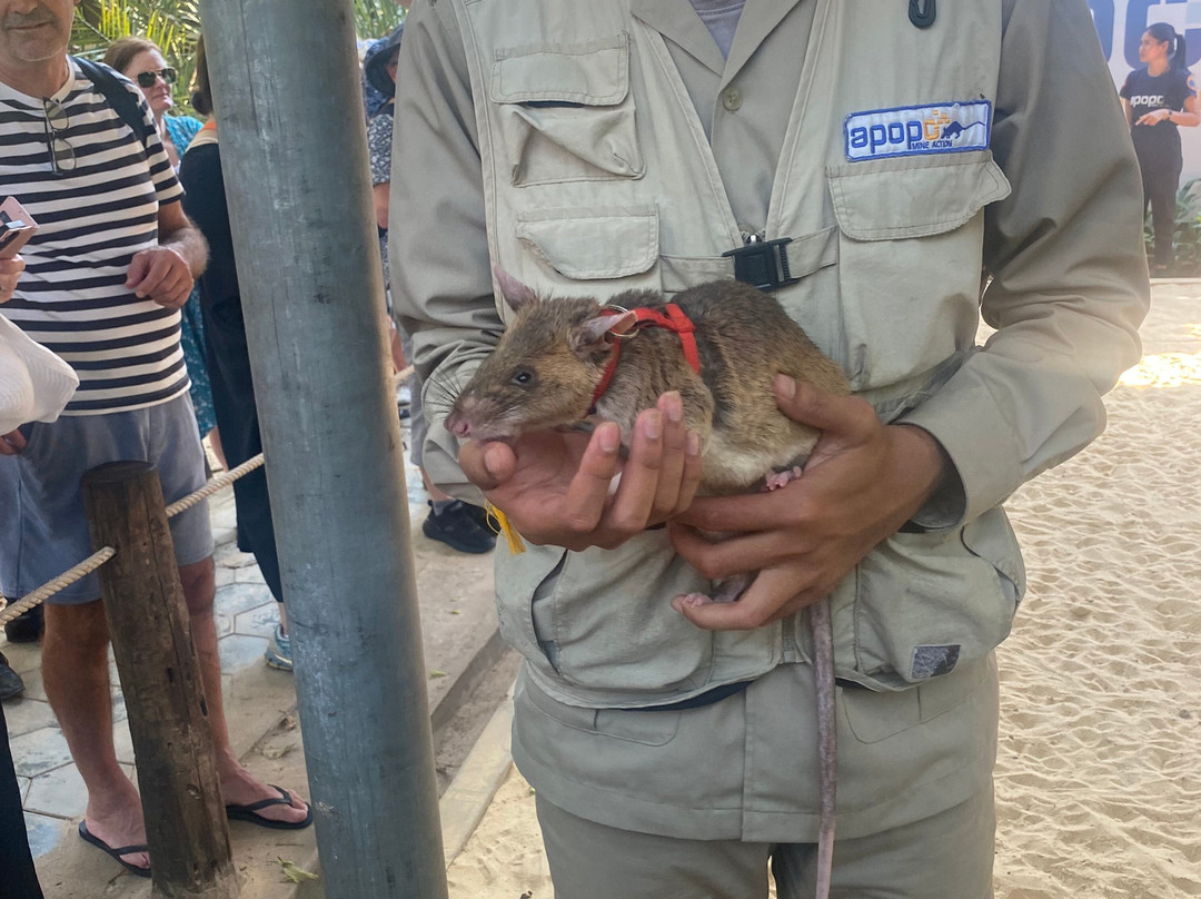Eagle Cambodia Travel-暹粒必去景点