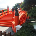 adoyle235