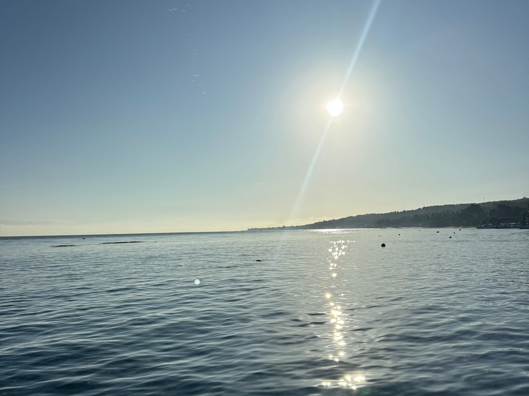 Pure Dive Resort-珀尼达岛必去景点