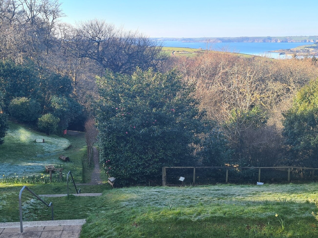 Trenython Manor主图