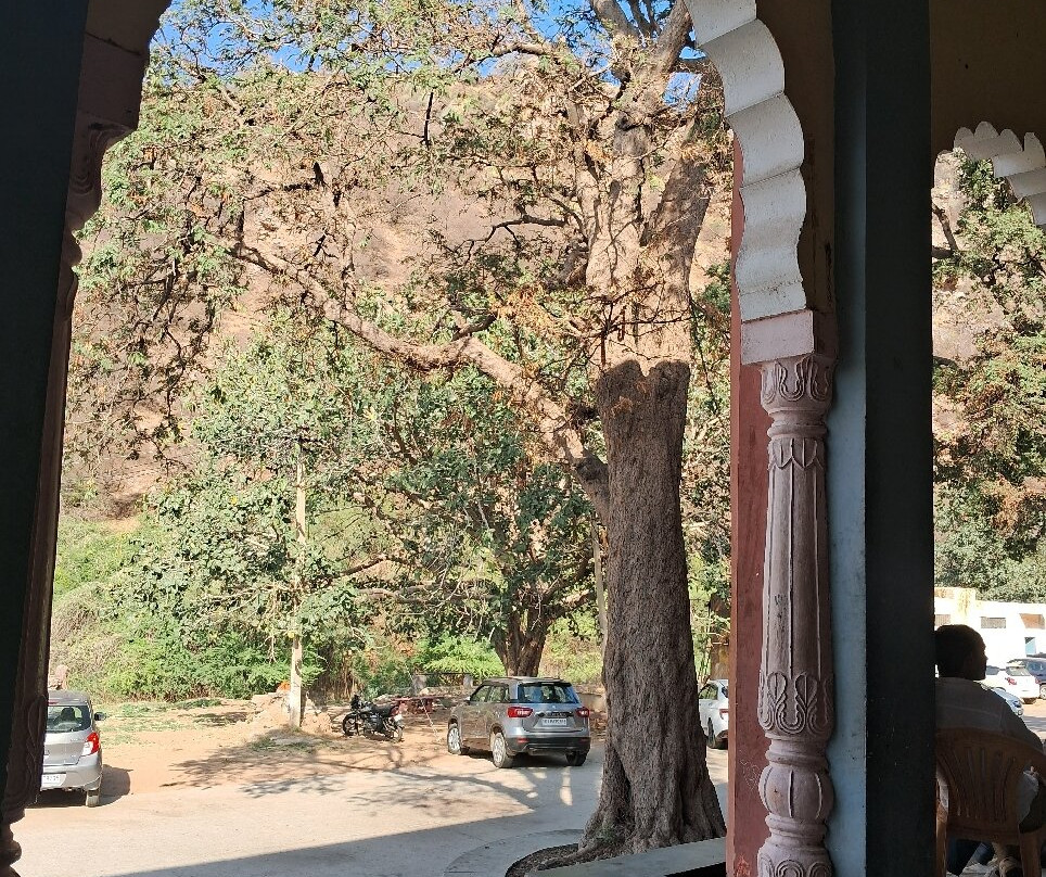 Samod Balaji Mandir景点图片