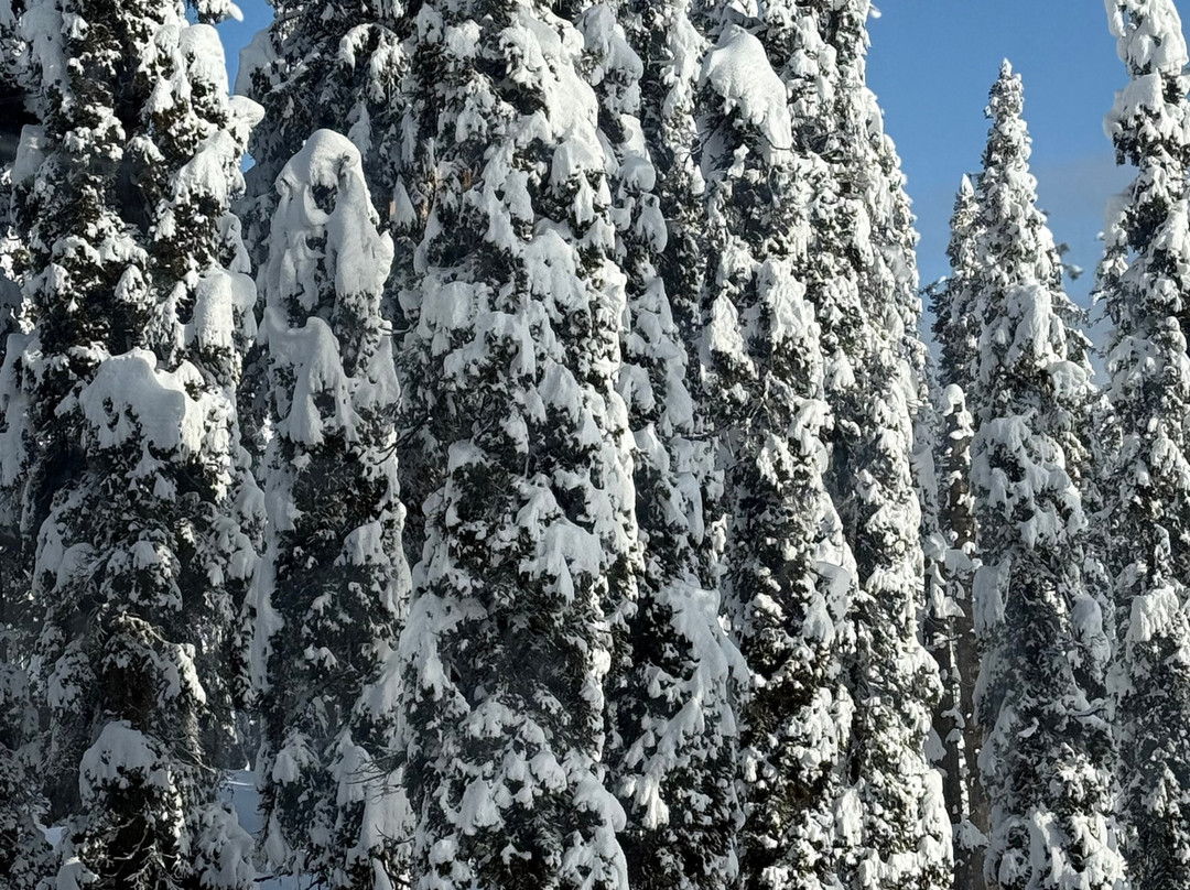 Adventures Kashmir-贡马必去景点