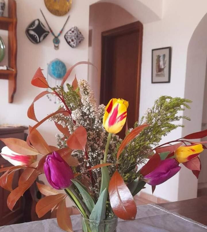 In Vino Veritas