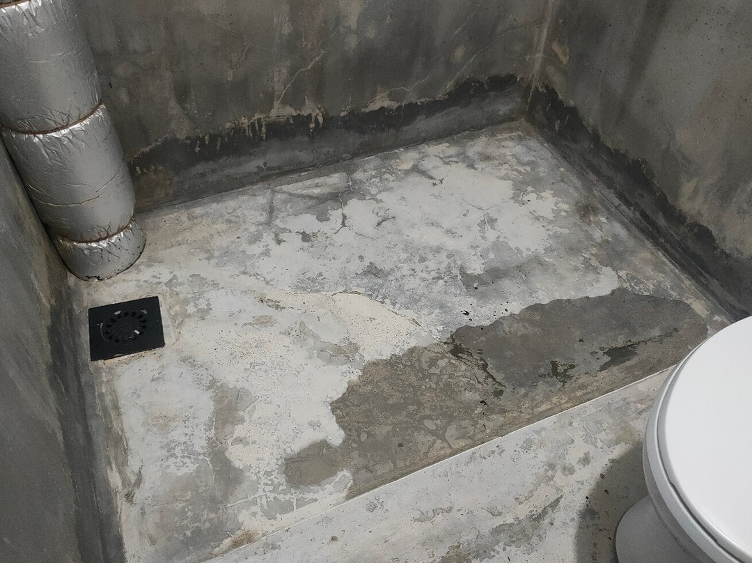 Padi Sentral Homestay