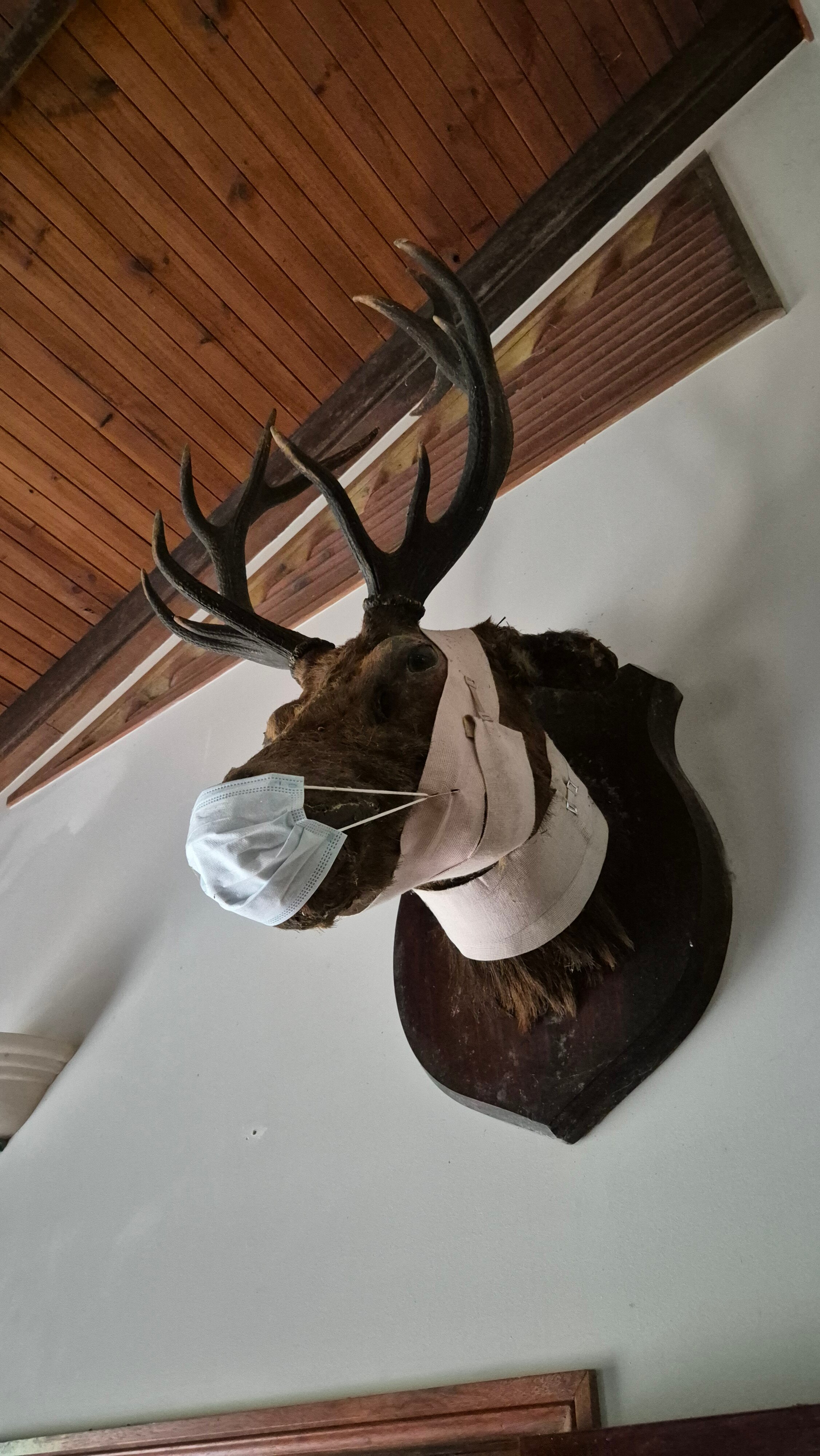 Mossman Gorge Bed and Breakfast-官方