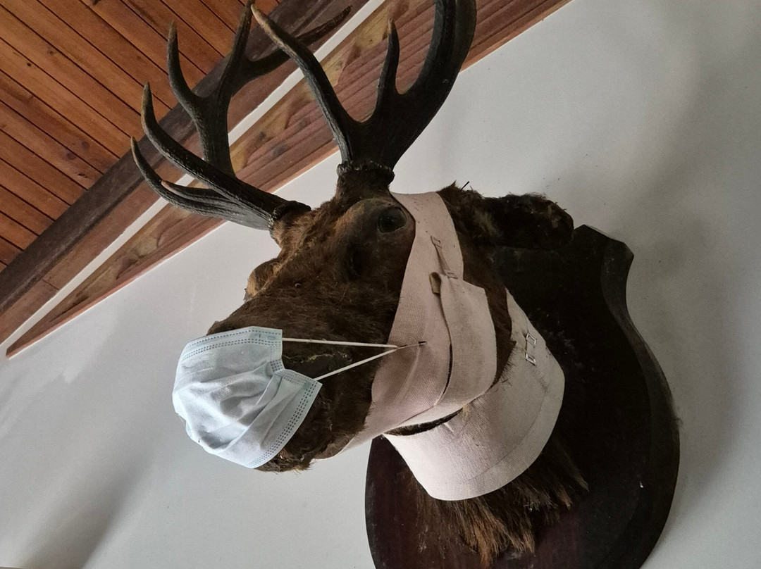 Mossman Gorge Bed and Breakfast主图