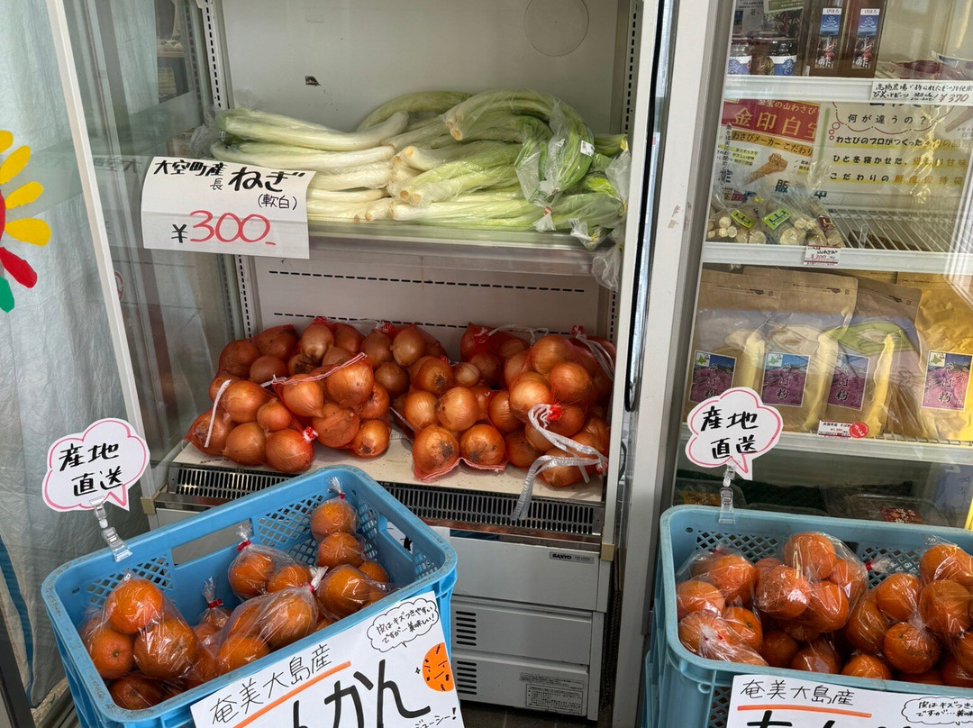 Michi no Eki Marchen-nooka Memambetsu-大空町必去景点